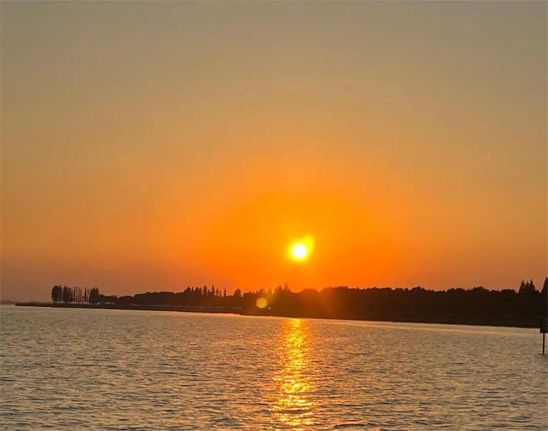 千问用一场离职风波,拿到了与豆包一战的入场券? 新闻