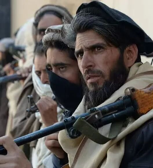 牛弹琴:一觉醒来,这两个邻国大打出手了 新闻