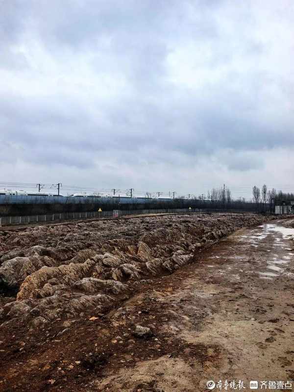  山东修高铁站挖出约5亿年前石海，专家称系寒武纪石灰岩，当地：已保护起来，正实地考察 新闻