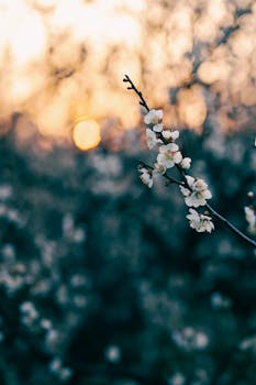 优诺中国再度易主:天图退出 IDG接手 新闻