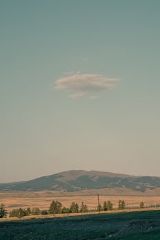 新车频繁被“开刀”维修，车主维权渠道全解析 新闻