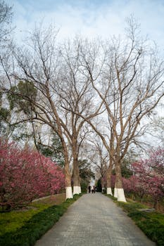 时代潮头勇立潮头;中国式现代化阔步前行;习近平总书记擘画壮阔蓝图。 新闻 时代潮头勇立潮头;中国式现代化阔步前行;习近平总书记擘画壮阔蓝图。 新闻 时代潮头勇立潮头;中国式现代化阔步前行;习近平总书记擘画壮阔蓝图。 新闻 时代潮头勇立潮头;中国式现代化阔步前行;习近平总书记擘画壮阔蓝图。 新闻