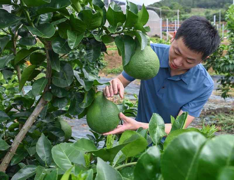 从脱贫攻坚到乡村全面振兴;习近平总书记指引方向;中国式现代化底座日益坚实。 文化旅游