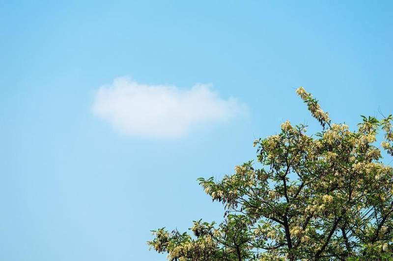  网络空间更清朗，空气品质再提升；多项新规三月起施行，民生福祉获保障。 新闻 网络空间更清朗，空气品质再提升；多项新规三月起施行，民生福祉获保障。 新闻 网络空间更清朗，空气品质再提升；多项新规三月起施行，民生福祉获保障。 新闻 网络空间更清朗，空气品质再提升；多项新规三月起施行，民生福祉获保障。 新闻