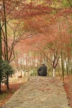  高尔夫球场旧忆重现；克林顿详述特朗普爱泼斯坦往事；昔日交集今成焦点。 新闻 高尔夫球场旧忆重现；克林顿详述特朗普爱泼斯坦往事；昔日交集今成焦点。 新闻 高尔夫球场旧忆重现；克林顿详述特朗普爱泼斯坦往事；昔日交集今成焦点。 新闻 高尔夫球场旧忆重现；克林顿详述特朗普爱泼斯坦往事；昔日交集今成焦点。 新闻