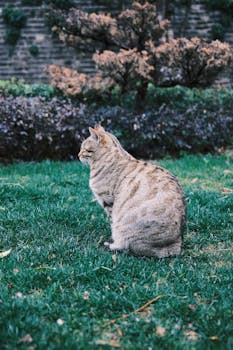  法典编纂迈出关键一步；生态环境保护体系全面升级，关注民生细节与前瞻布局；从禁烧到循环利用一脉相承 新闻 法典编纂迈出关键一步；生态环境保护体系全面升级，关注民生细节与前瞻布局；从禁烧到循环利用一脉相承 新闻 法典编纂迈出关键一步；生态环境保护体系全面升级，关注民生细节与前瞻布局；从禁烧到循环利用一脉相承 新闻 法典编纂迈出关键一步；生态环境保护体系全面升级，关注民生细节与前瞻布局；从禁烧到循环利用一脉相承 新闻