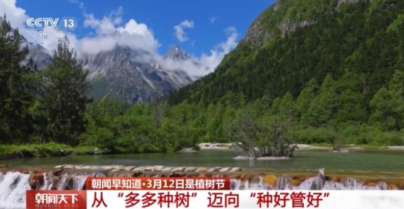  国土绿化迈入新阶段；从单一林转向混交林；多地发力精准提质 文化旅游