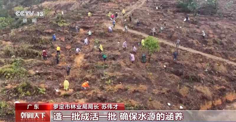  国土绿化迈入新阶段；从单一林转向混交林；多地发力精准提质 文化旅游