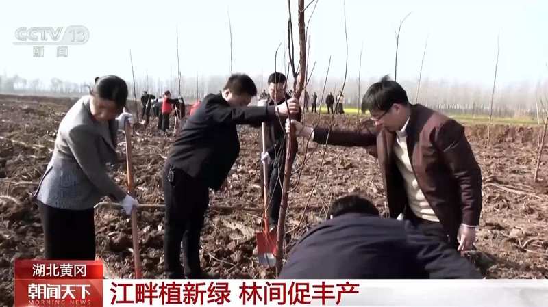  国土绿化迈入新阶段；从单一林转向混交林；多地发力精准提质 文化旅游