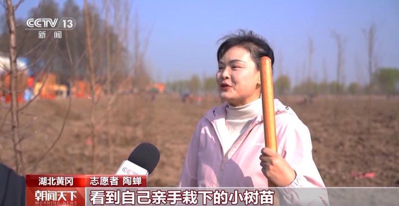  国土绿化迈入新阶段；从单一林转向混交林；多地发力精准提质 文化旅游