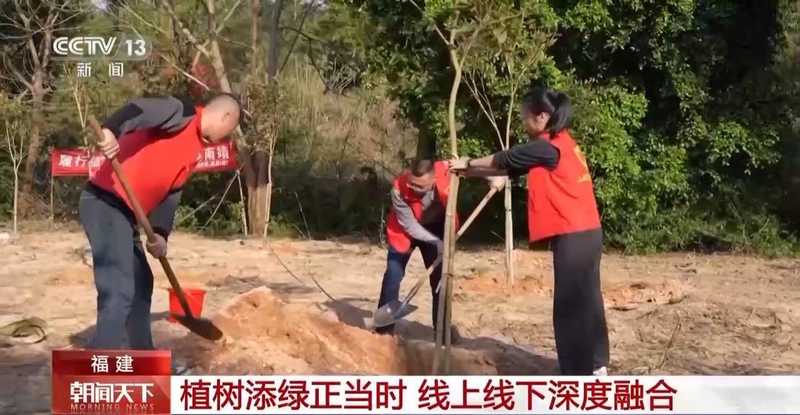  国土绿化迈入新阶段；从单一林转向混交林；多地发力精准提质 文化旅游