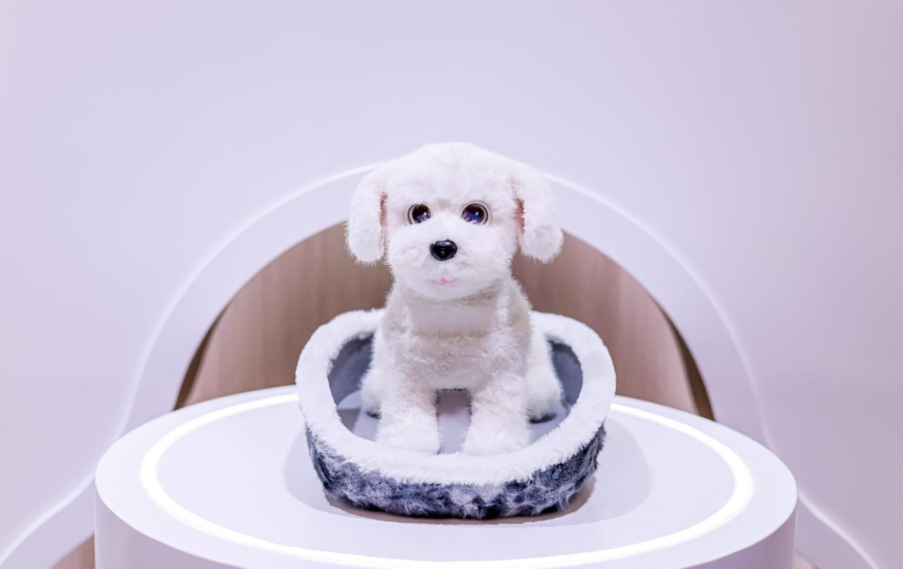 科沃斯亮相AWE2026;首推OpenClaw管家机器人八界,具身智能加速走进寻常家庭。 IT技术 科沃斯亮相AWE2026;首推OpenClaw管家机器人八界,具身智能加速走进寻常家庭。 IT技术 科沃斯亮相AWE2026;首推OpenClaw管家机器人八界,具身智能加速走进寻常家庭。 IT技术 科沃斯亮相AWE2026;首推OpenClaw管家机器人八界,具身智能加速走进寻常家庭。 IT技术