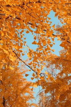 市场震荡中,创新药板块展现韧性;资金持续关注,易方达ETF表现突出。 股票财经 市场震荡中,创新药板块展现韧性;资金持续关注,易方达ETF表现突出。 股票财经