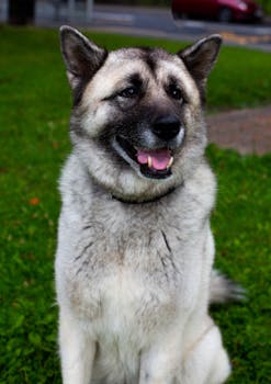  英伟达网络业务，已悄然崛起为公司第二大支柱；黄仁勋的远见布局，正重塑AI基础设施格局。 IT技术