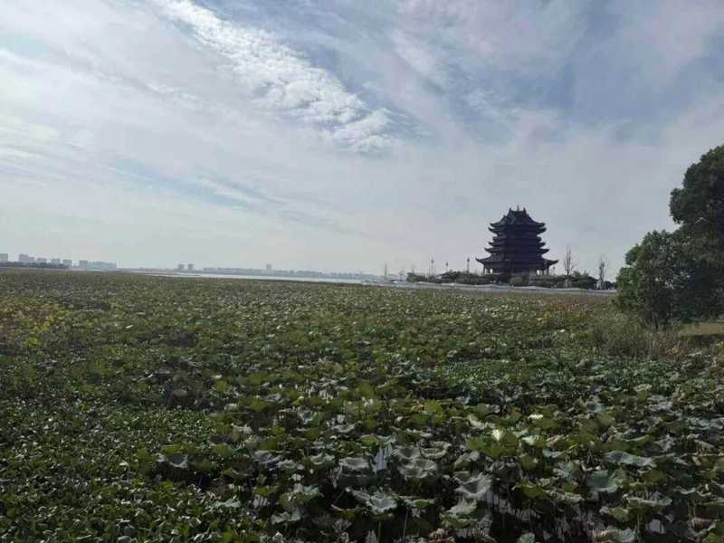 财务迷局下的信任崩塌：当“标准审计意见”掩盖了惊天造假案 股票财经