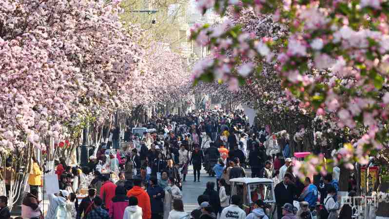  【深度复盘】京津冀海棠经济带：文旅商融合的精准执行方法论 文化旅游 【深度复盘】京津冀海棠经济带：文旅商融合的精准执行方法论 文化旅游