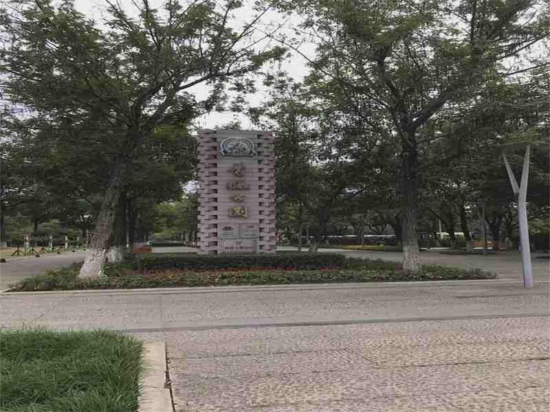  技术视角下的居住革新：青枫板块为何成为改善置业的「价值锚点」 房产家居