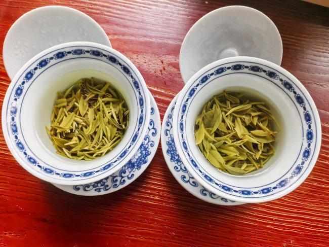  在玄武湖边喝一盏清茶：找回久违的松弛感 情感心理