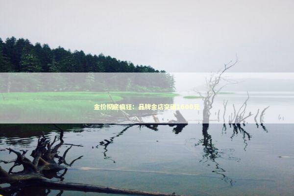 金价彻底疯狂：品牌金店突破1600元 新闻