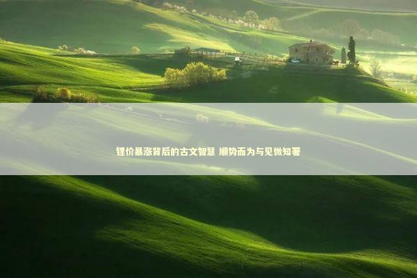 锂价暴涨背后的古文智慧 顺势而为与见微知著 新闻