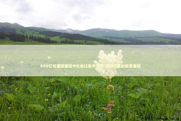 600亿元重磅重组中化出让泉州石化-古诗词里的能源重组 新闻