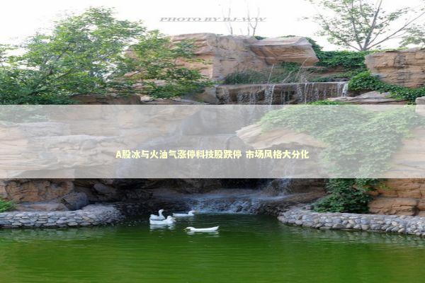 A股冰与火油气涨停科技股跌停 市场风格大分化 新闻