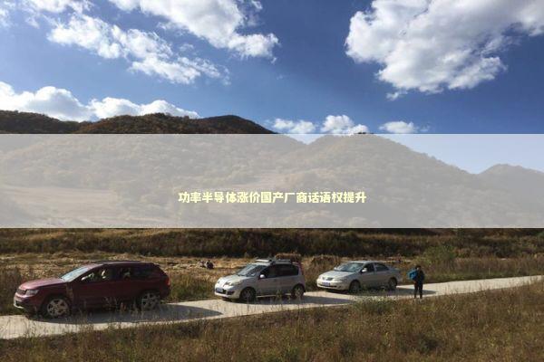 功率半导体涨价国产厂商话语权提升 新闻