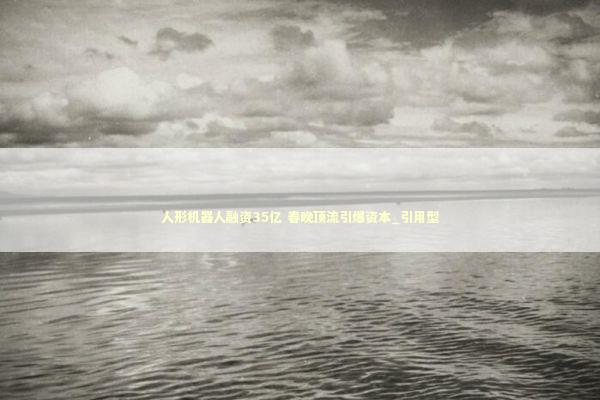 人形机器人融资35亿 春晚顶流引爆资本_引用型 新闻