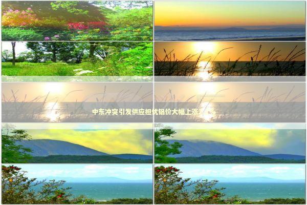 中东冲突引发供应担忧铝价大幅上涨2.1% 新闻