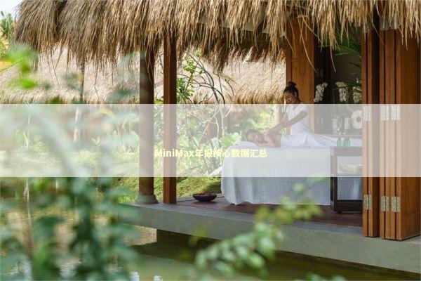 MiniMax年报核心数据汇总 MiniMax年报核心数据汇总 新闻