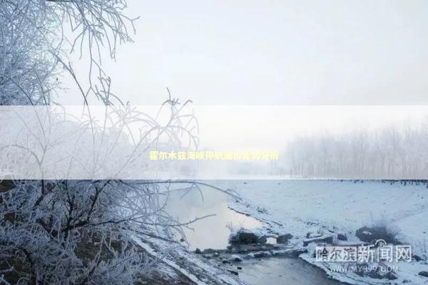 霍尔木兹海峡停航油价走势分析 新闻