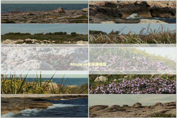 MiniMax年报趣味版 MiniMax年报趣味版 新闻