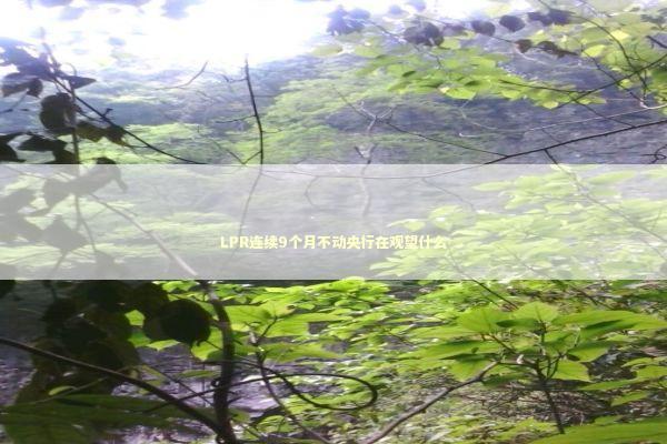 LPR连续9个月不动央行在观望什么 新闻