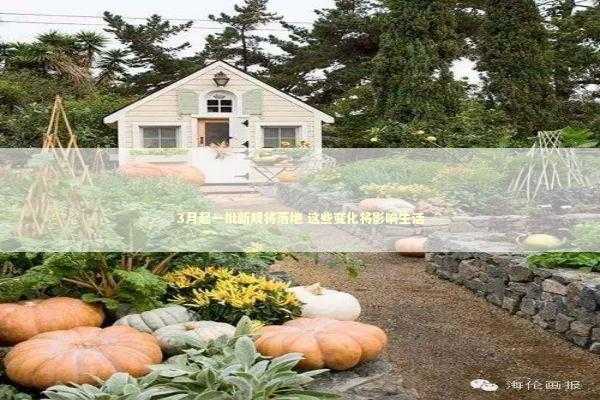 3月起一批新规将落地 这些变化将影响生活 新闻