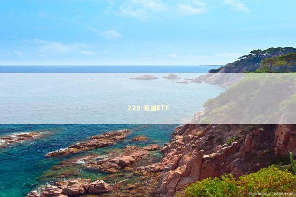 229-石油ETF 新闻