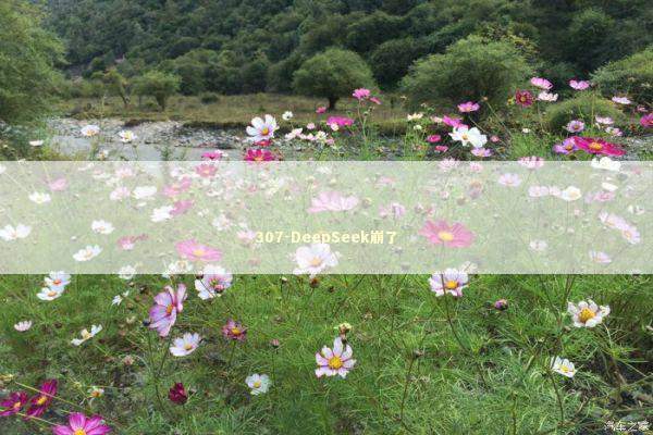 307-DeepSeek崩了 新闻