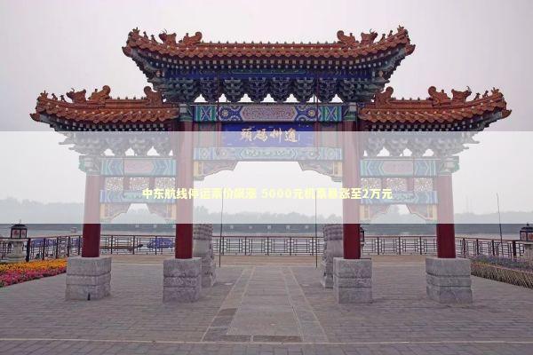 中东航线停运票价飙涨 5000元机票暴涨至2万元 新闻