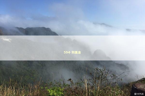 594-刘美含 新闻