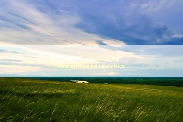 从消费者权益保护法看火车票平台乱象 从消费者权益保护法看火车票平台乱象 新闻