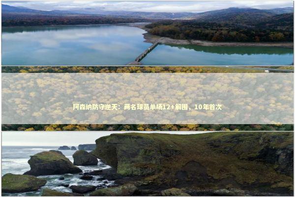 阿森纳防守逆天：两名球员单场12+解围，10年首次 新闻