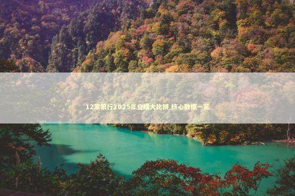 12家银行2025年业绩大比拼 核心数据一览 新闻