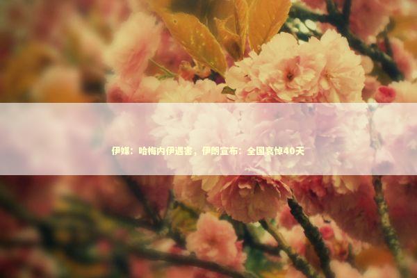 伊媒：哈梅内伊遇害，伊朗宣布：全国哀悼40天 新闻