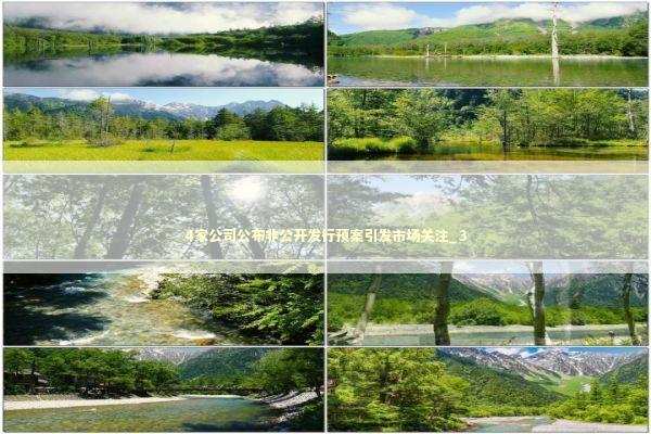 4家公司公布非公开发行预案引发市场关注_3 新闻