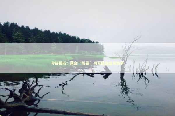 今日视点:两会“答卷”书写民企出海故事 今日视点:两会“答卷”书写民企出海故事 新闻