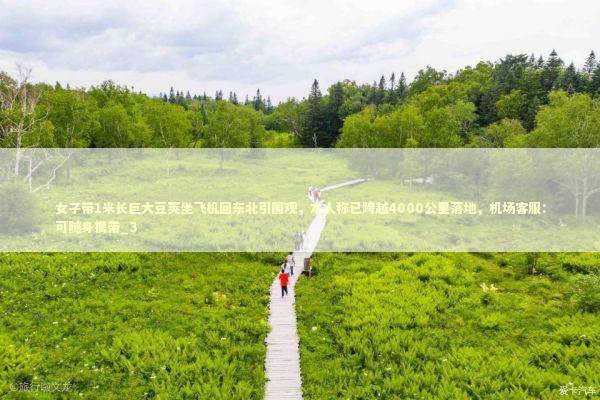 女子带1米长巨大豆荚坐飞机回东北引围观，本人称已跨越4000公里落地，机场客服：可随身携带_3 新闻