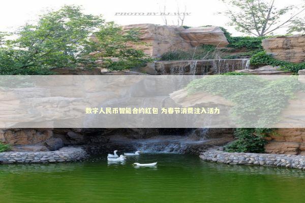 数字人民币智能合约红包 为春节消费注入活力 数字人民币智能合约红包 为春节消费注入活力 新闻