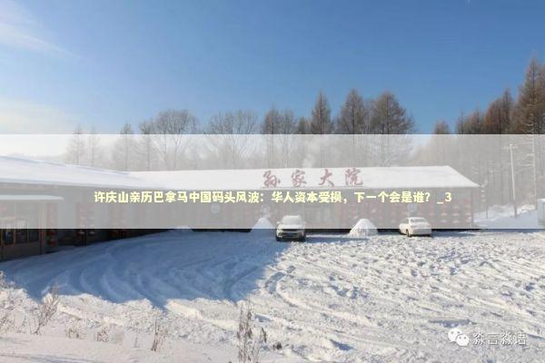 许庆山亲历巴拿马中国码头风波：华人资本受损，下一个会是谁？_3 新闻