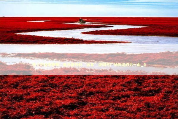 洪灝对话辜朝明：美元霸权的“语言”逻辑与广场协议的另一面_6 新闻