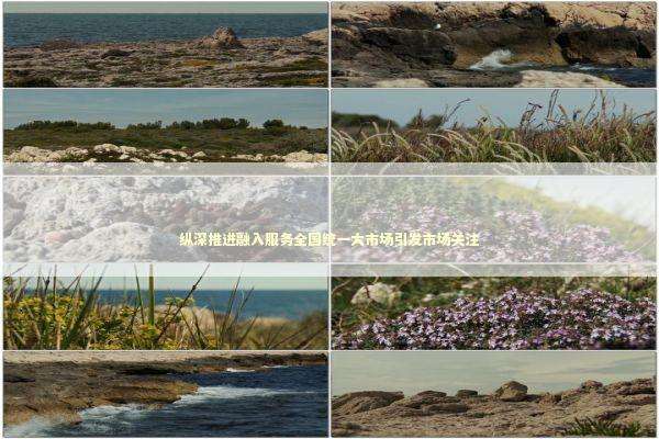 纵深推进融入服务全国统一大市场引发市场关注 纵深推进融入服务全国统一大市场引发市场关注 新闻