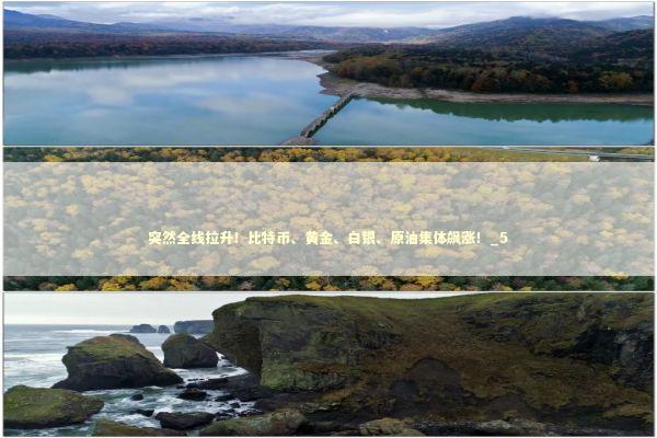 突然全线拉升!比特币、黄金、白银、原油集体飙涨!_5 突然全线拉升!比特币、黄金、白银、原油集体飙涨!_5 新闻